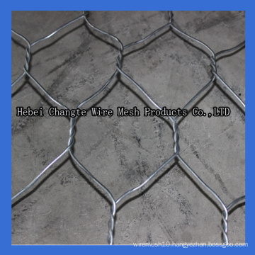 Galvanized Gabion Wire Mesh (CT-2)